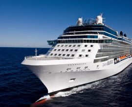 Cruise